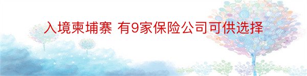 入境柬埔寨 有9家保险公司可供选择