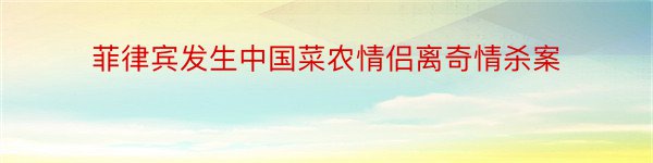 菲律宾发生中国菜农情侣离奇情杀案