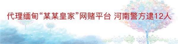 代理缅甸“某某皇家”网赌平台 河南警方逮12人