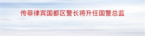 传菲律宾国都区警长将升任国警总监