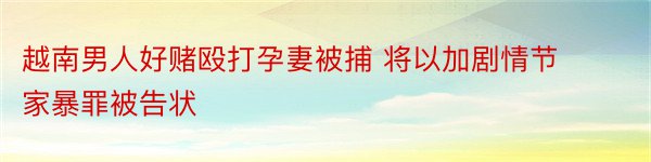 越南男人好赌殴打孕妻被捕 将以加剧情节家暴罪被告状