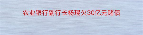 农业银行副行长杨琨欠30亿元赌债