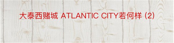 大泰西赌城 ATLANTIC CITY若何样 (2)