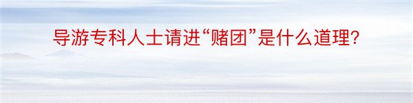 导游专科人士请进“赌团”是什么道理？