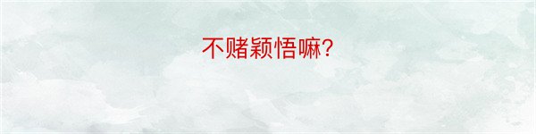 不赌颖悟嘛？