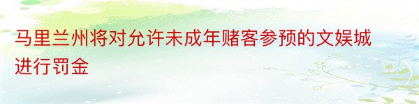 马里兰州将对允许未成年赌客参预的文娱城进行罚金