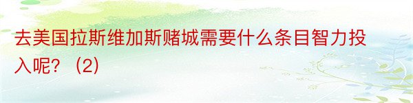 去美国拉斯维加斯赌城需要什么条目智力投入呢？ (2)