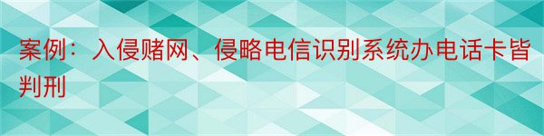 案例：入侵赌网、侵略电信识别系统办电话卡皆判刑