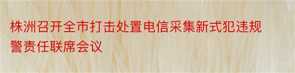 株洲召开全市打击处置电信采集新式犯违规警责任联席会议