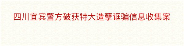 四川宜宾警方破获特大造孽诓骗信息收集案