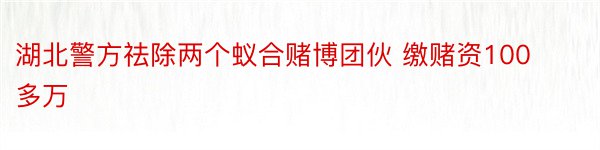 湖北警方祛除两个蚁合赌博团伙 缴赌资100多万