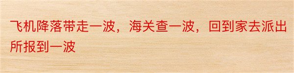 飞机降落带走一波，海关查一波，回到家去派出所报到一波