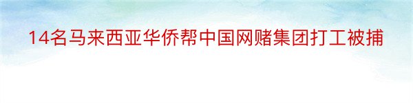 14名马来西亚华侨帮中国网赌集团打工被捕