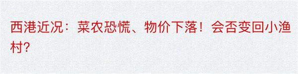 西港近况：菜农恐慌、物价下落！会否变回小渔村？