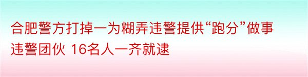 合肥警方打掉一为糊弄违警提供“跑分”做事违警团伙 16名人一齐就逮