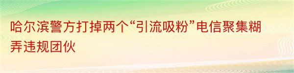 哈尔滨警方打掉两个“引流吸粉”电信聚集糊弄违规团伙