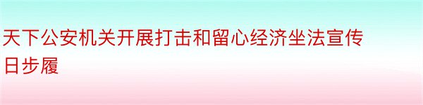 天下公安机关开展打击和留心经济坐法宣传日步履