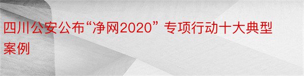 四川公安公布“净网2020” 专项行动十大典型案例