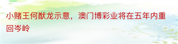 小赌王何猷龙示意，澳门博彩业将在五年内重回岑岭