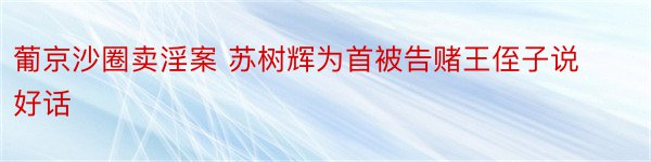 葡京沙圈卖淫案 苏树辉为首被告赌王侄子说好话