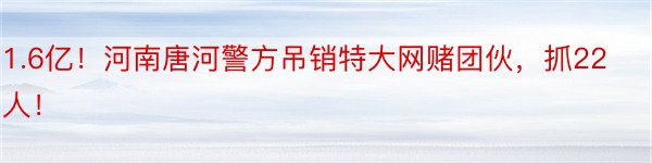 1.6亿！河南唐河警方吊销特大网赌团伙，抓22人！