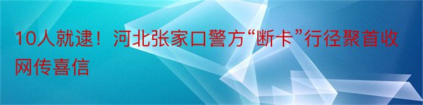 10人就逮！河北张家口警方“断卡”行径聚首收网传喜信