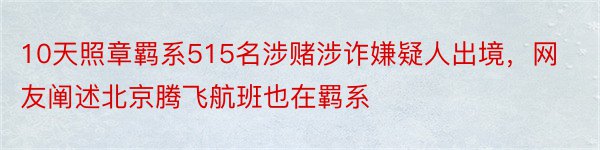 10天照章羁系515名涉赌涉诈嫌疑人出境，网友阐述北京腾飞航班也在羁系