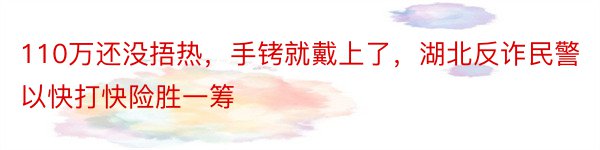 110万还没捂热，手铐就戴上了，湖北反诈民警以快打快险胜一筹