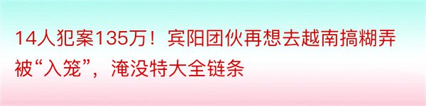 14人犯案135万！宾阳团伙再想去越南搞糊弄被“入笼”，淹没特大全链条