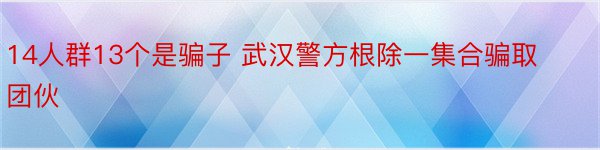 14人群13个是骗子 武汉警方根除一集合骗取团伙