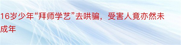 16岁少年“拜师学艺”去哄骗，受害人竟亦然未成年