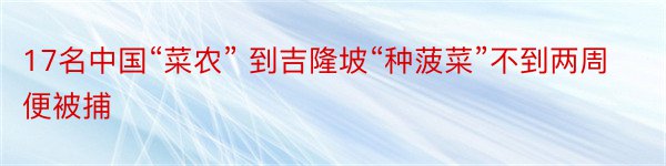 17名中国“菜农” 到吉隆坡“种菠菜”不到两周便被捕