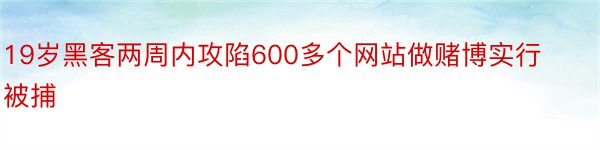 19岁黑客两周内攻陷600多个网站做赌博实行被捕