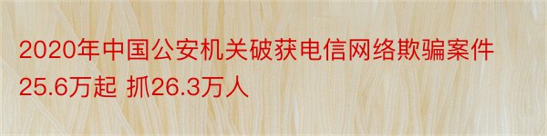 2020年中国公安机关破获电信网络欺骗案件25.6万起 抓26.3万人