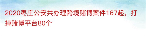 2020枣庄公安共办理跨境赌博案件167起，打掉赌博平台80个