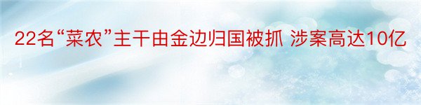 22名“菜农”主干由金边归国被抓 涉案高达10亿