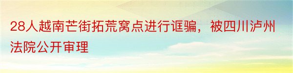 28人越南芒街拓荒窝点进行诓骗，被四川泸州法院公开审理