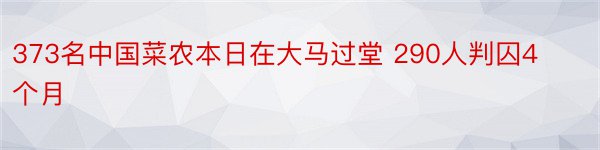 373名中国菜农本日在大马过堂 290人判囚4个月