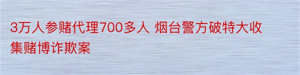 3万人参赌代理700多人 烟台警方破特大收集赌博诈欺案