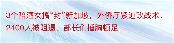 3个陪酒女搞“封”新加坡，外侨厅紧迫改战术、2400人被阻遏、部长们捶胸顿足......