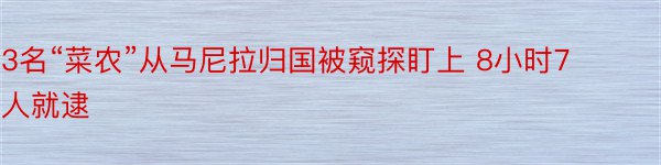 3名“菜农”从马尼拉归国被窥探盯上 8小时7人就逮