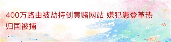 400万路由被劫持到黄赌网站 嫌犯患登革热归国被捕