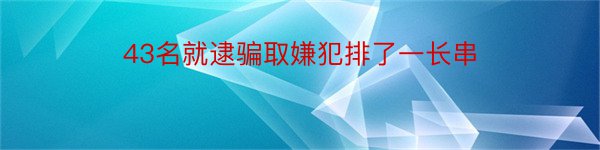 43名就逮骗取嫌犯排了一长串