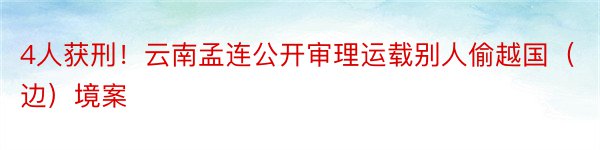 4人获刑！云南孟连公开审理运载别人偷越国（边）境案