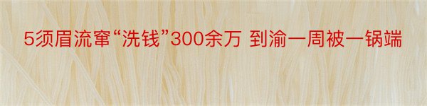 5须眉流窜“洗钱”300余万 到渝一周被一锅端