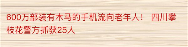 600万部装有木马的手机流向老年人！ 四川攀枝花警方抓获25人