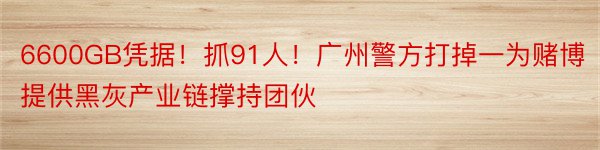 6600GB凭据！抓91人！广州警方打掉一为赌博提供黑灰产业链撑持团伙