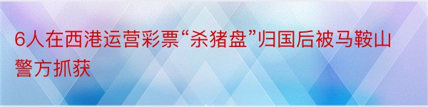 6人在西港运营彩票“杀猪盘”归国后被马鞍山警方抓获