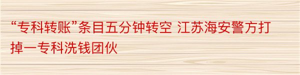 “专科转账”条目五分钟转空 江苏海安警方打掉一专科洗钱团伙