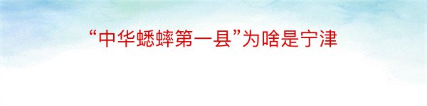 “中华蟋蟀第一县”为啥是宁津